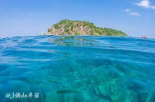 探索我发烧老公明知道我晕针,还逼我打吊瓶。我从小到大都没打过针,他凭什么让我打啊,他是不是不爱我了?知识星球平台