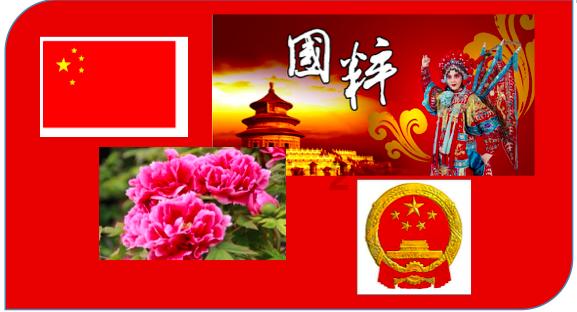 人保财险石家庄正定支公司：“小青新”奏响助老“金晖行动”
