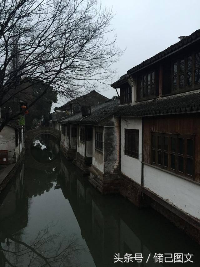 逗小猴开心系列199