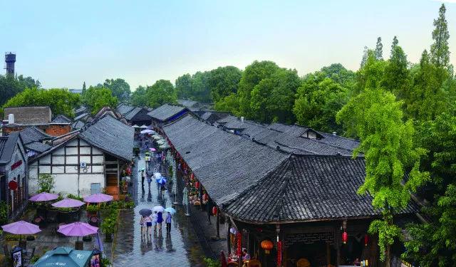 孩子成为学霸，早教措施有必要吗？育儿专家说出了大实话